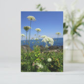 海レースノートカード サンキューカード (スタンド正面)