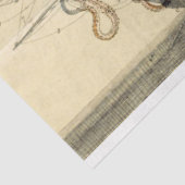 海ヴィンテージアンティーク分離 薄葉紙 (詳細)