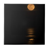 海上の金満月 タイル (正面)