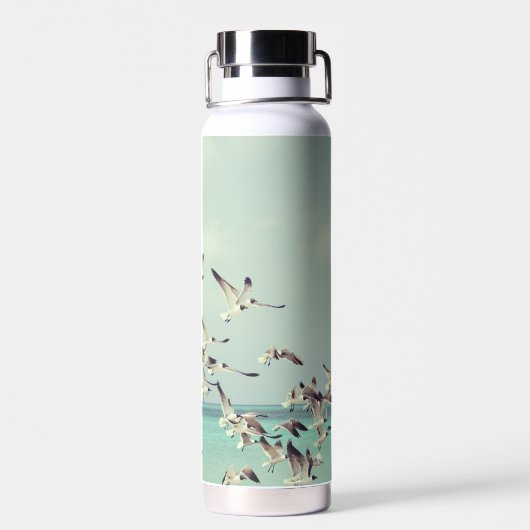 海上飛んでいるのカモメの群れ。 ウォーターボトル (背面)