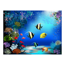 海世界ポスター