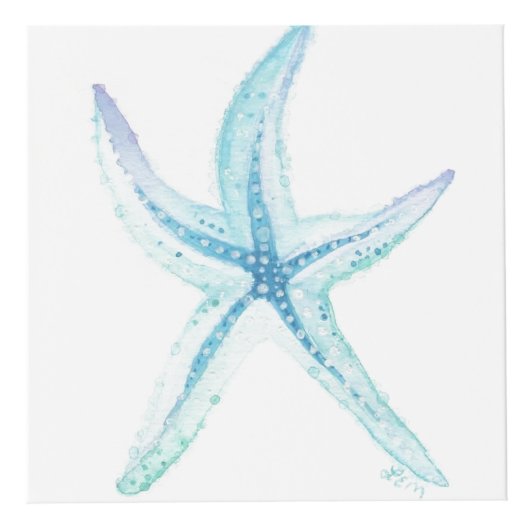 海中で フォトキューブ (トップ)