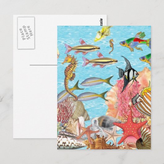 海中で ポストカード (正面/裏面)