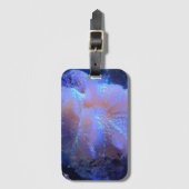 海中で ラゲッジタグ (正面縦)