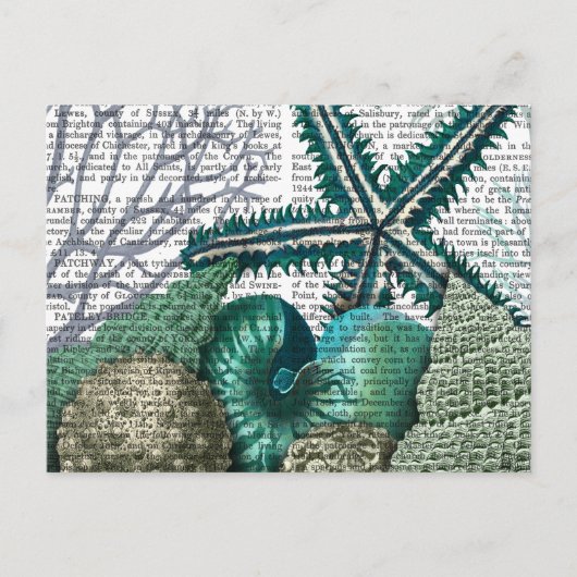 海中のヒトデ ポストカード (正面)