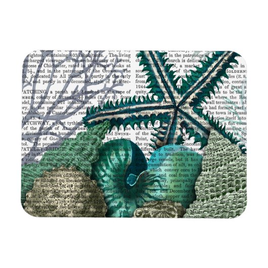 海中のヒトデ マグネット (横)