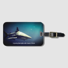 海中のブラックチップシャーク