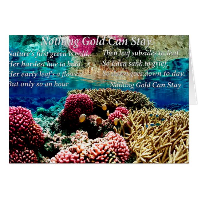 海中サンゴと2つのピエロ魚 (正面横)