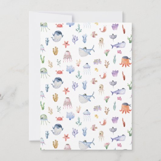 海中海動物少年海賊誕生日 招待状 (裏面)