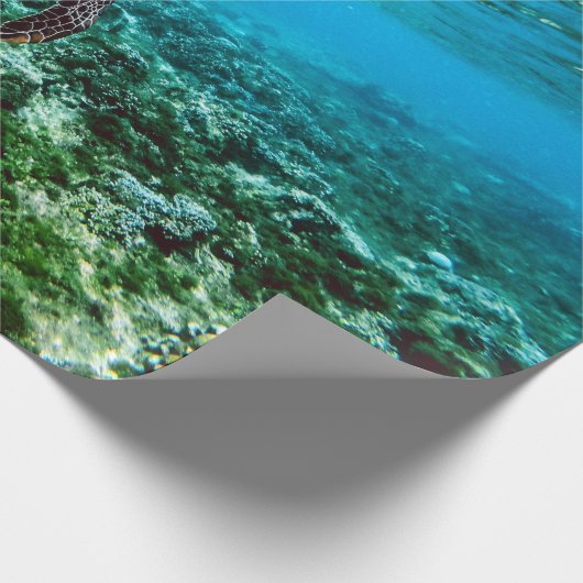 海中熱帯ウミガメ ラッピングペーパー (角)