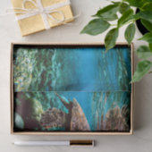 海中熱帯ウミガメ 薄葉紙 (ギフト)