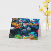 海中熱帯サンゴ礁 カード (黄色い花)