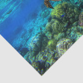 海中熱帯海タートルサンゴ 薄葉紙 (詳細)
