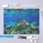 海中熱帯海タートルサンゴ 薄葉紙 (クラフト)