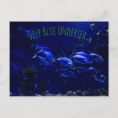 海中熱帯魚 ポストカード (正面)