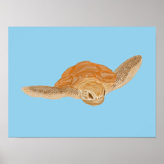 海亀の水の下 – 透明。 ポスター (正面)