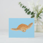 海亀の水の下 – 透明。 ポストカード (スタンド正面)