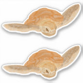 海亀の水 – 透明。 シール (正面)