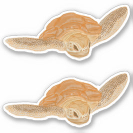 海亀の水 – 透明。 シール