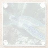 海亀の海底写真 ガラスコースター (裏面)