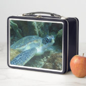 海亀の海底写真 メタルランチボックス (インサイチュ)