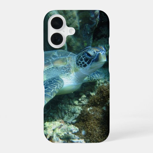 海亀の海底写真 iPhone 16ケース (裏面)
