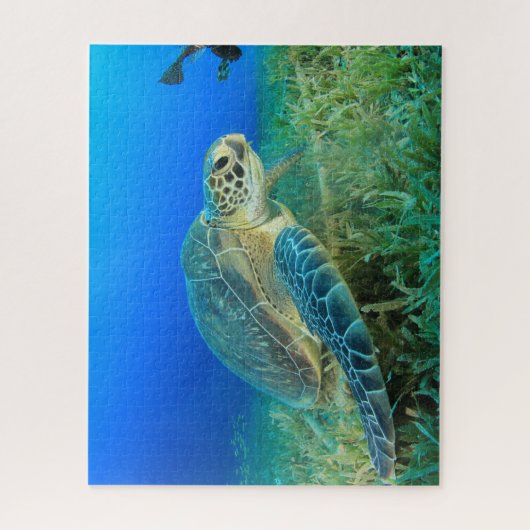 海亀 ジグソーパズル (縦)