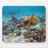 海亀 マウスパッド (正面)