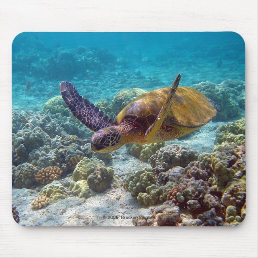 海亀 マウスパッド (正面)