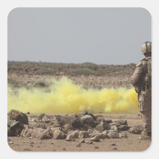 海兵隊は安全を提供する スクエアシール (正面)