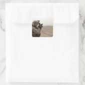 海兵隊員がM-32を発砲する スクエアシール (バッグ)