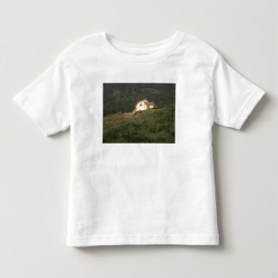 海兵隊員は直接衝突を記録します トドラーTシャツ