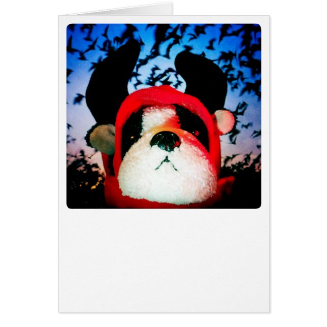 海兵隊員カード (正面)