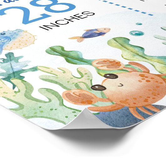 海動物少年の海の下の誕生日マイルストーン ポスター (角)