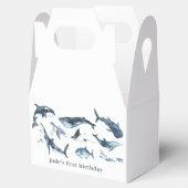 海動物 フェイバーボックス (オープン)