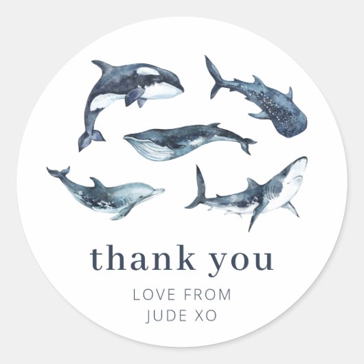 海動物 ラウンドシール (正面)