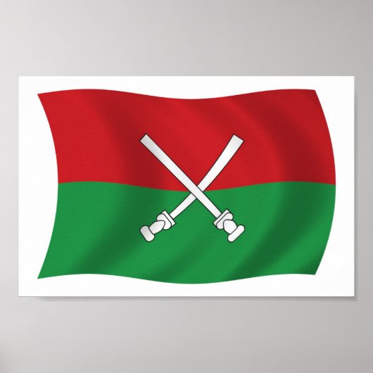 海南李美王国旗のポスタープリント ポスター (正面)