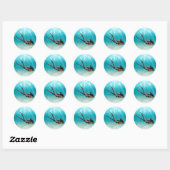海南海南諸島 ラウンドシール (シート)