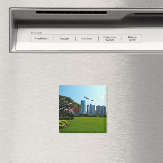 海口中国街並 マグネット (インサイチュ (食洗機))