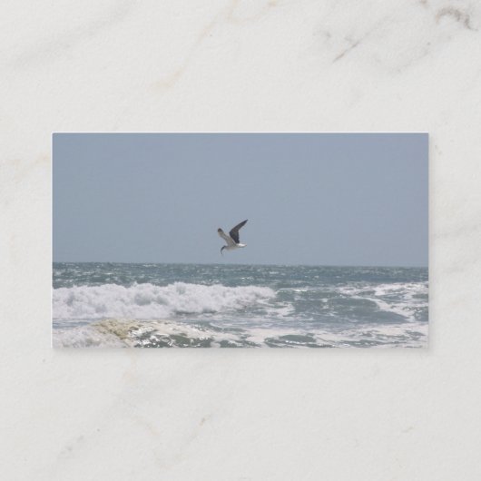 海名刺 名刺 (裏面)