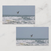 海名刺 名刺 (正面/裏面)