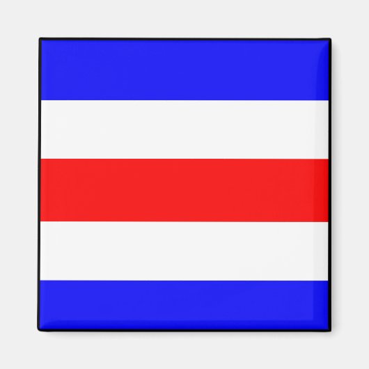 海国際的海信号旗航海の文字 マグネット (正面)