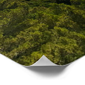 海地中海の ポスター (角)