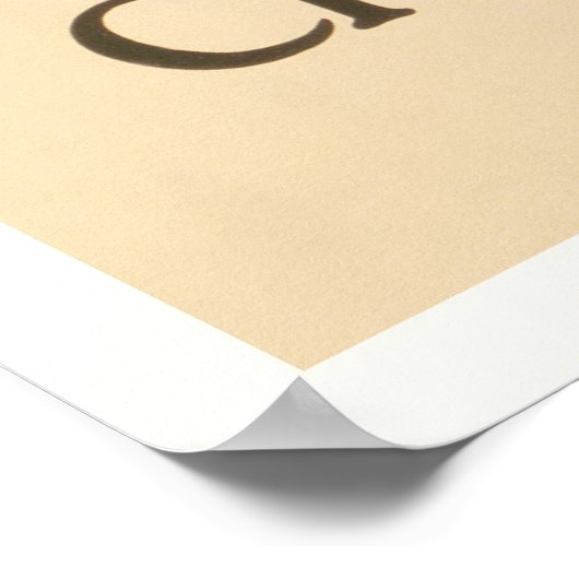 海外から海外へ – チャウトークアで彼女の話を聞く ポスター (角)