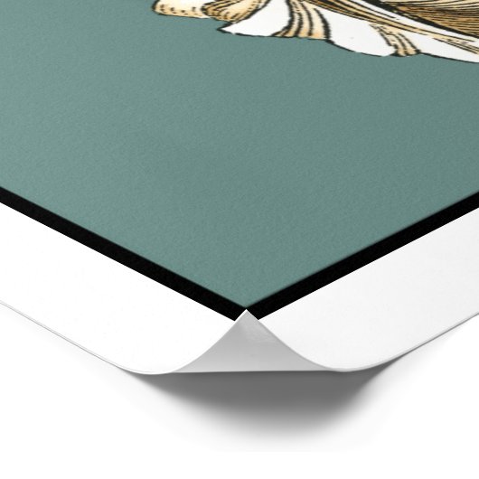 海宝石 ポスター (角)