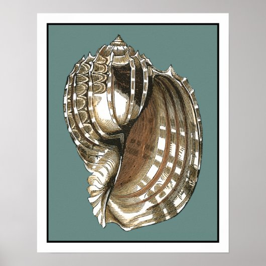 海宝石 ポスター (正面)