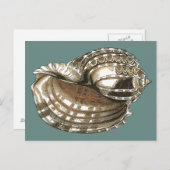 海宝石 ポストカード (正面/裏面)