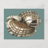 海宝石 ポストカード (正面)