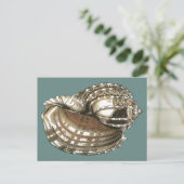 海宝石 ポストカード (スタンド正面)