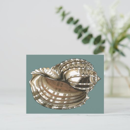 海宝石 ポストカード (スタンド正面)